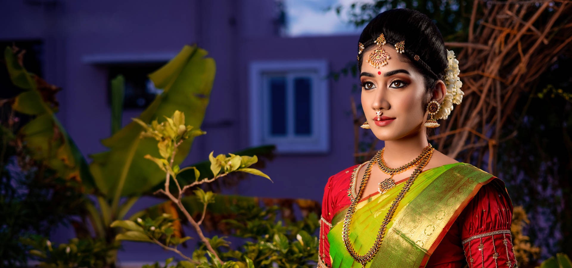 PURE ZARI KANJIVARAMS